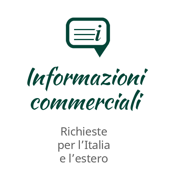 icon innovazione san giuliano